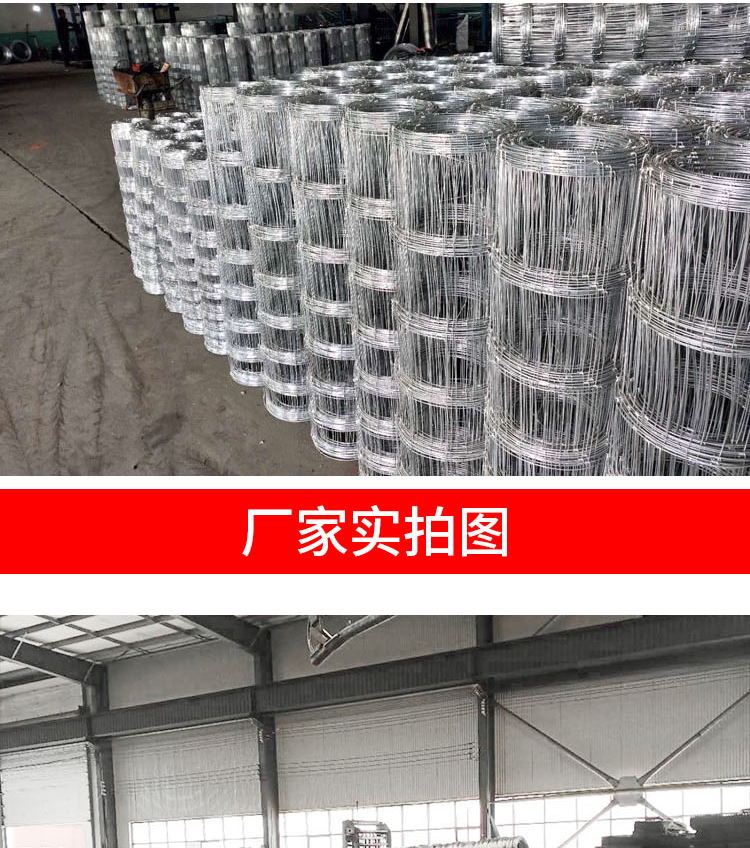 牛栏网