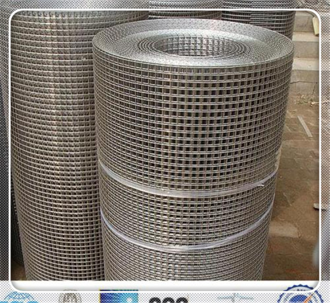 钢丝网多钱一米