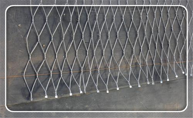 ��˿��ʲô�۸�