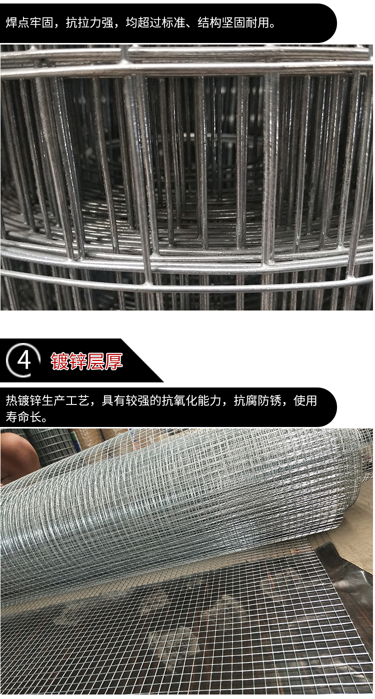 纸
