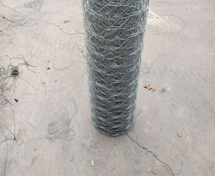 ��ֳ��˿���۸�